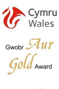 Visit Wales Gold Award 2018