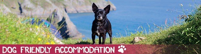 Dog Friendly Accommodation In Swansea Mumbles Gower