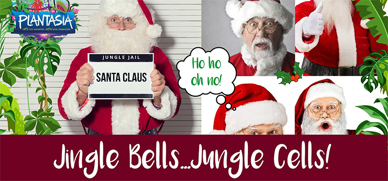 Jingle Bells Jingle Cells